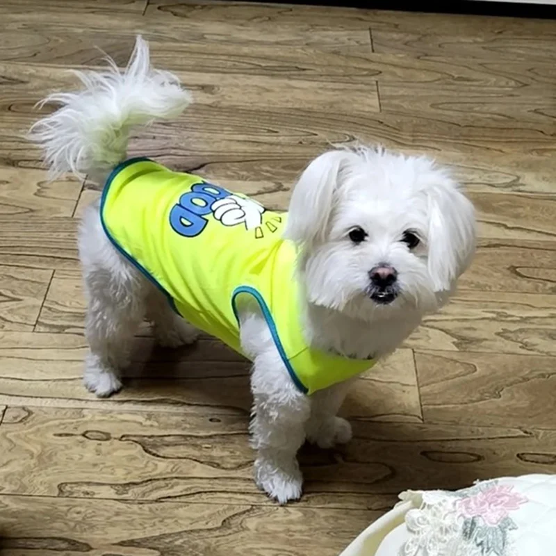 Chaleco sin mangas con hebilla para mascotas, ropa de verano para cachorros, perros pequeños, Pomerania, Pinscher, Schnauzer, gato - imagen 5