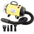 Yellow blow suction