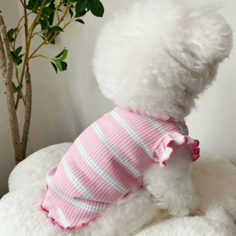 Chaleco rayas con cerezas para perro caniche y gato – Ropa veraniega - imagen 4