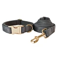 Dog Collar Leash Set