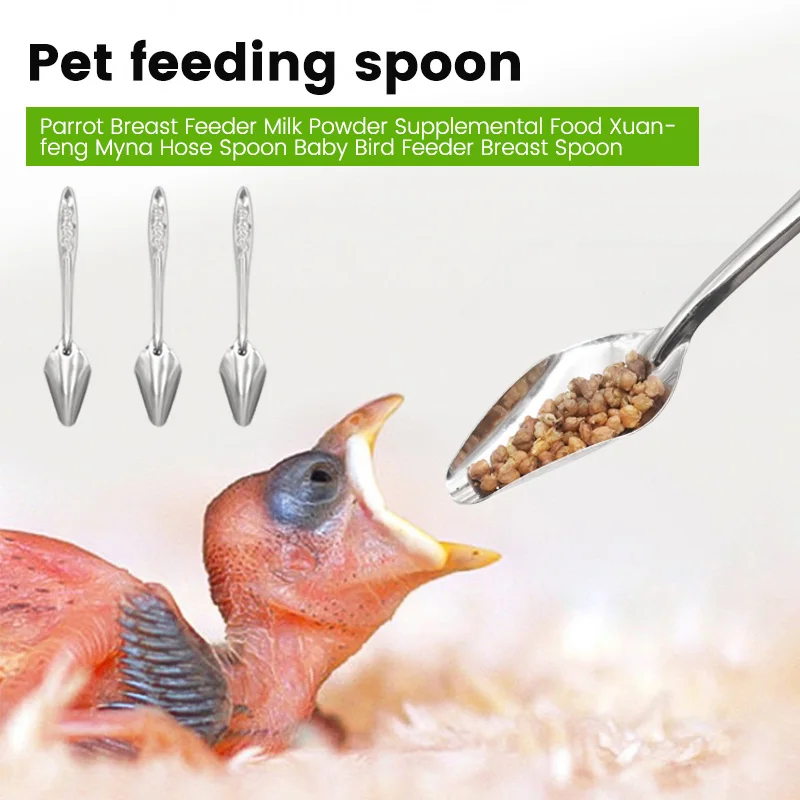 Cuchara de acero inoxidable para alimentación de aves y mascotas, contenedor de semillas, alimentador de loro, suministros de alimentación de peonía - imagen 3
