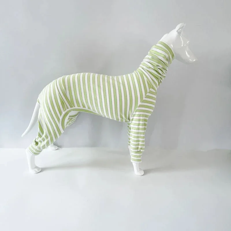 Mono de primavera de 4 patas para galgo italiano, camiseta interior de algodón suave de otoño para pijamas de cuello alto Whippet para perros Terrier - imagen 5