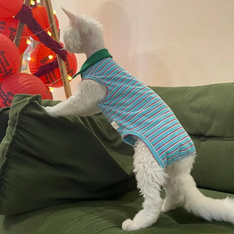 Mono azul para gatos Sphynx y Devon Rex – Abrigo cómodo - imagen 4