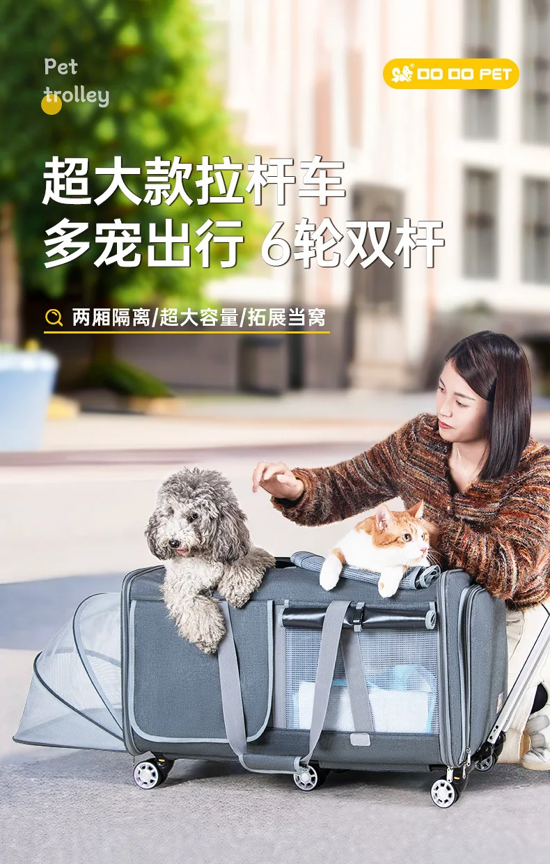 hmqViviiyNSAyin8WueWtygghS2Fhc8LuDTf