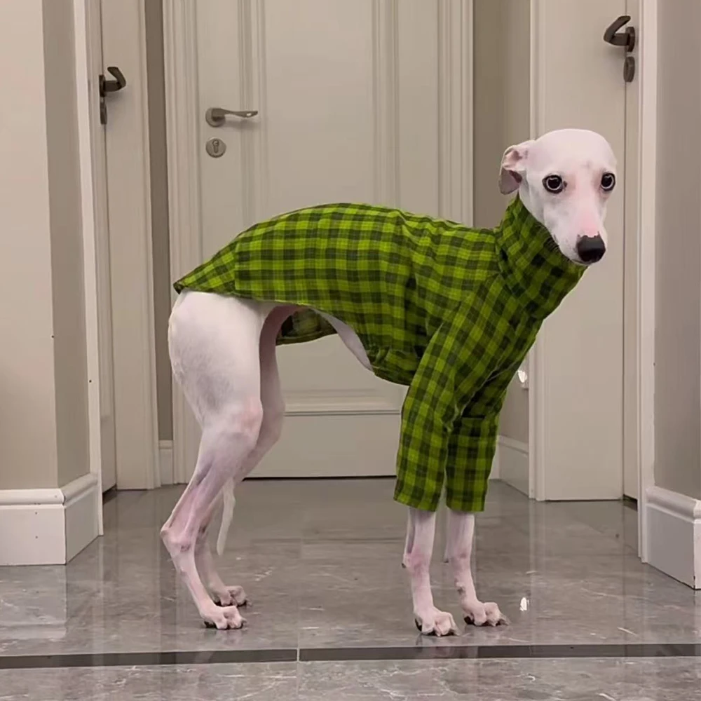 Conjunto vaquero para perros – Camiseta verde sin mangas + jean - imagen 4