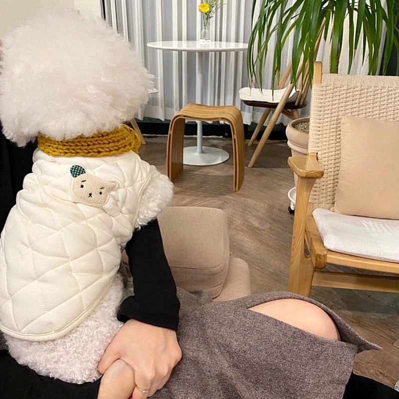 Bichon-ropa de algodón para perros y gatos, chaqueta gruesa y cálida de oso bonito para otoño e invierno, suministros para mascotas - imagen 5