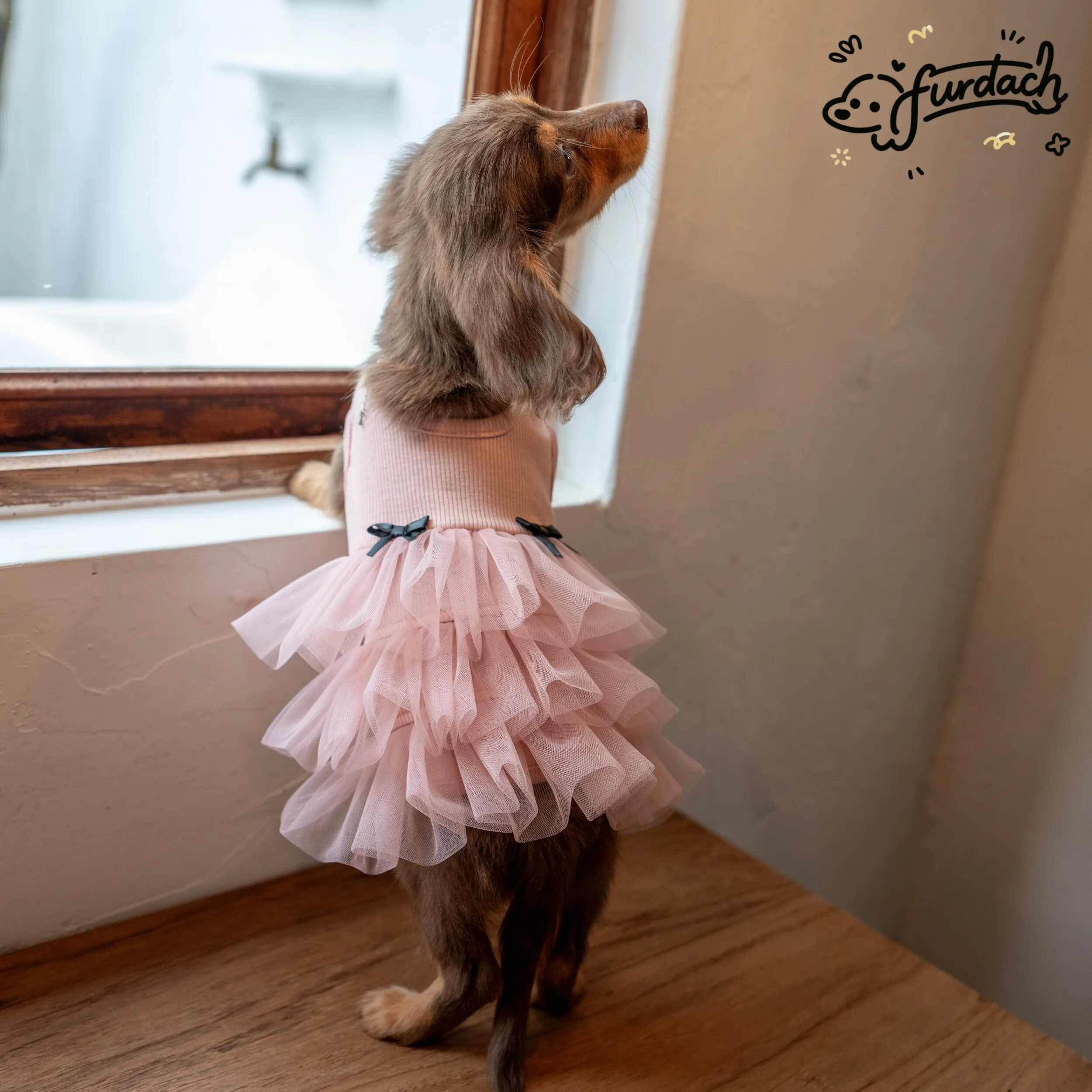 Vestido rosa encaje algodón falda morada para Dachshund primavera - imagen 3