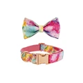 Bow Collar