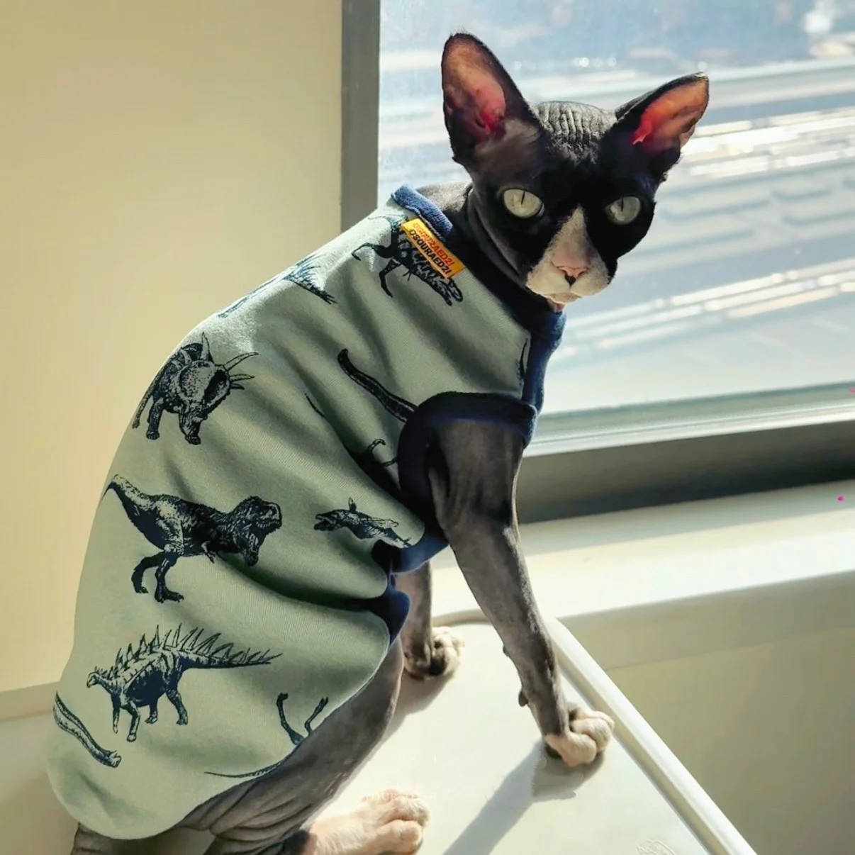 Camiseta dinosaurio chaleco sin mangas para gatos Sphynx y Devon Rex