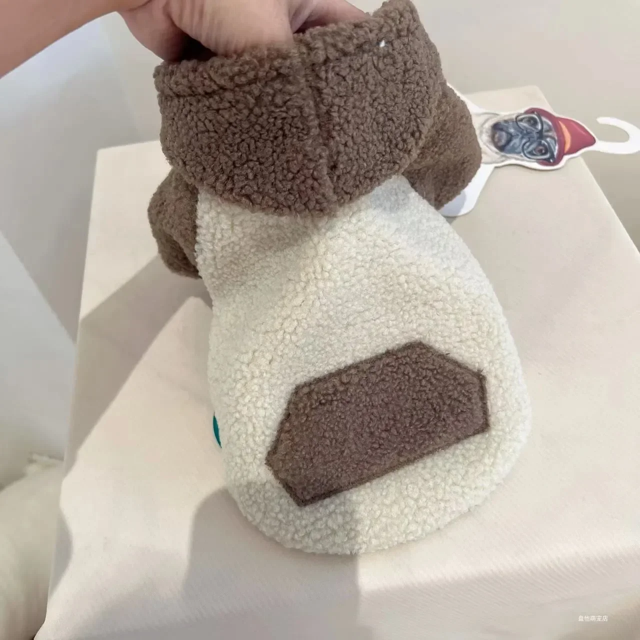 Abrigo grueso y cálido de lana de cordero para mascotas, ropa para mascotas, gato, perro, oso de peluche, Otoño/Invierno, Sudadera con capucha, ropa de diseñador para perros, sudaderas con capucha para perros - imagen 5