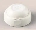 Ivory White 