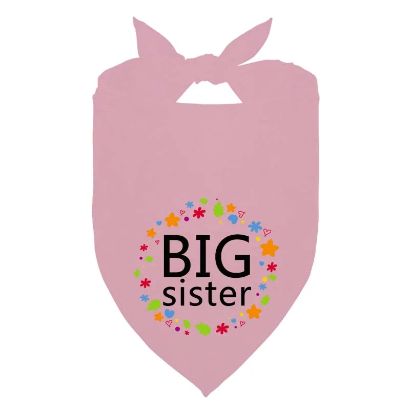 Big Sister-Bandana a cuadros para perro, Bandana para anuncio de embarazo, accesorio para foto de revelación de género, accesorios para mascotas - imagen 4