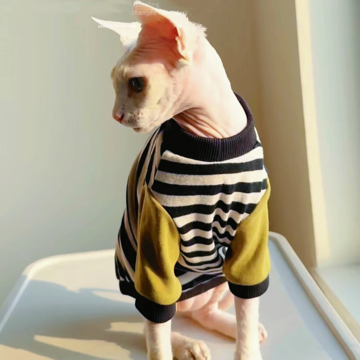 Camiseta de algodón rayas blancas y negras para gatos Sphynx Devon Rex - imagen 5