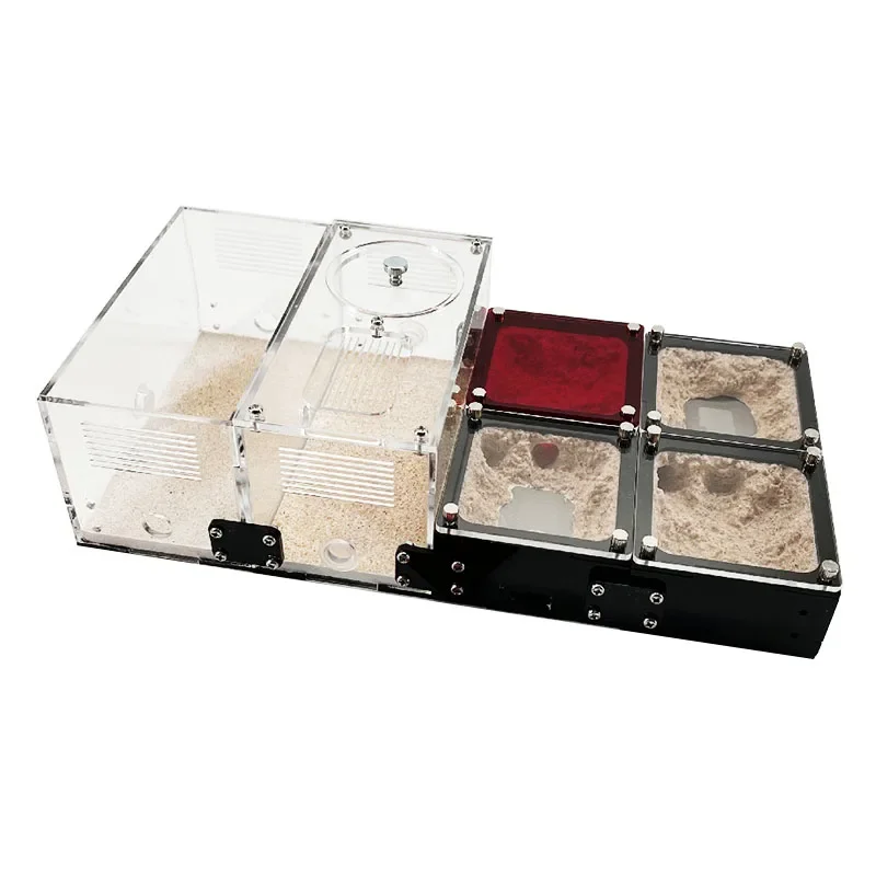 Casa Hormiga Hormigón Sin Marca - Vista principal