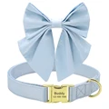 Blue Bowknot