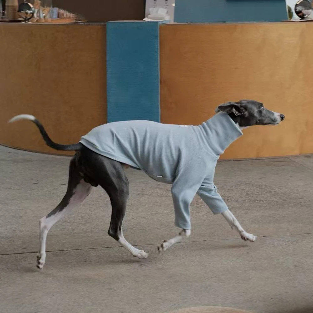 Camiseta de algodón de otoño para galgo italiano, abrigo suave de manga larga para ropa de perro Whipbit, ropa de descanso Terrier de cuello alto - imagen 5