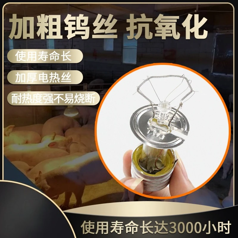 Bombilla de aislamiento térmico para cerdos, luz de calefacción para cría, luces de aislamiento térmico de ganso y pollo, especiales para cría de animales - imagen 3