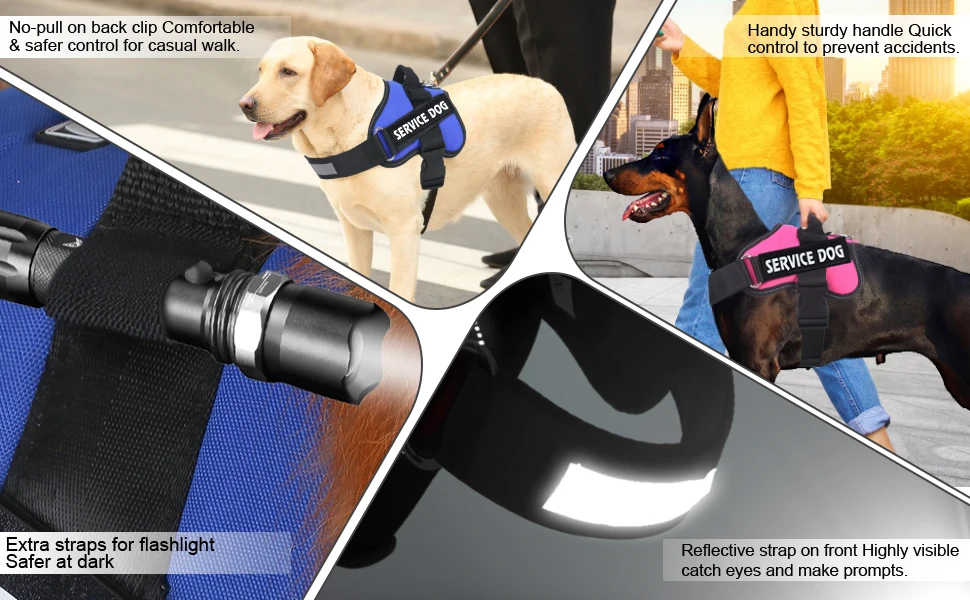 Arnés 3M perros pequeños - Perro modelo usando arnés