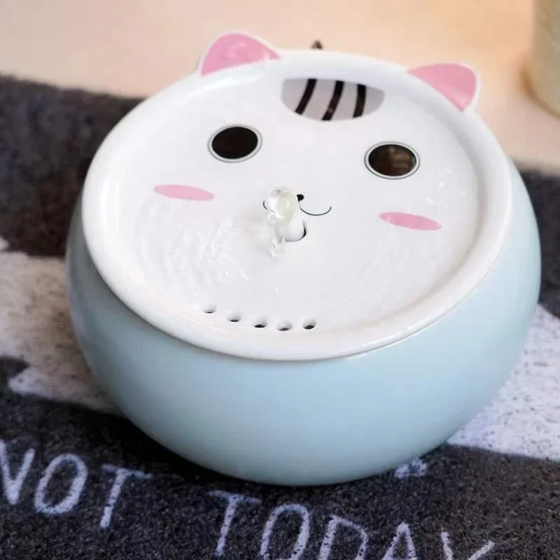 blue cat with Heater