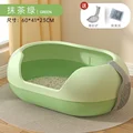 Matcha Green