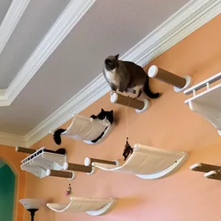 Muebles de pared para gatos: escaleras y hamaca para jugar y descansar