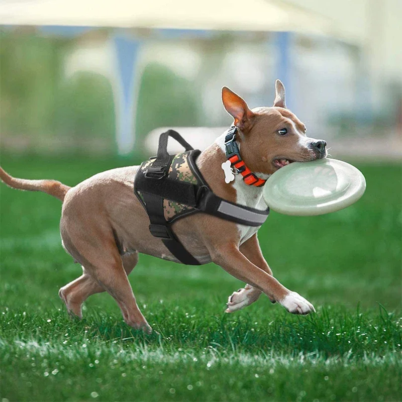 Arnés Perros Personalizado Reflectante 3M - imagen 2