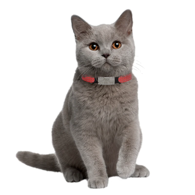 Collar reflectante - Uso en mascotas