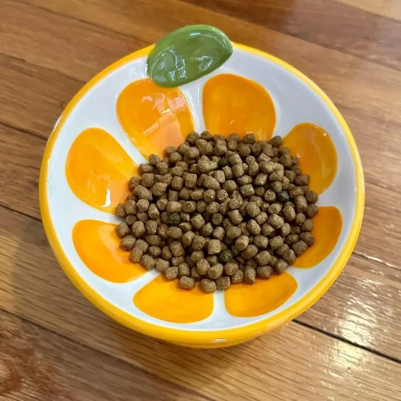 1 cuenco de cerámica elevado para gatos, cuenco de comida elevado para gatos de interior, antivómitos y protege la columna vertebral de mascotas, bonito plato inclinado para gatos