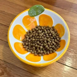 1 cuenco de cerámica elevado para gatos, cuenco de comida elevado para gatos de interior, antivómitos y protege la columna vertebral de mascotas, bonito plato inclinado para gatos