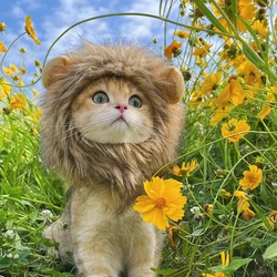 Disfraz crinera de León para gatos y perros – Sombrero orejas