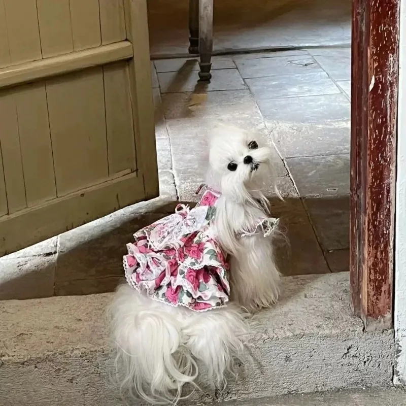 Ropa de flores para mascotas, vestido rosa de verano para mascotas, gatos, perros, Yorkshire, ropa de peluche, conversación romántica, camiseta sin mangas múltiple, ropa para perros pequeños - imagen 4