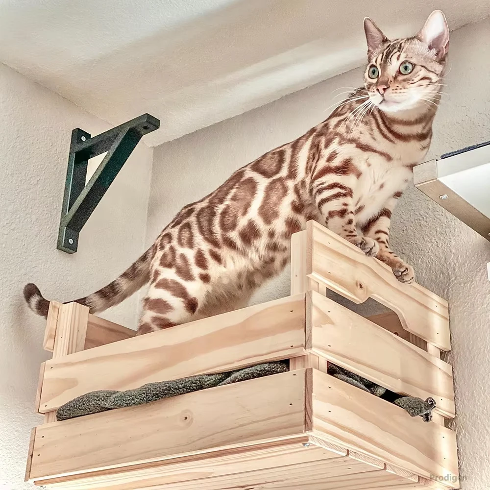 Cesta de madera para gatos montada en la pared, cama de percha para gatos, hamaca para dormir, paso de escalada, muebles de pared modernos, torre de árbol, accesorios para gatos