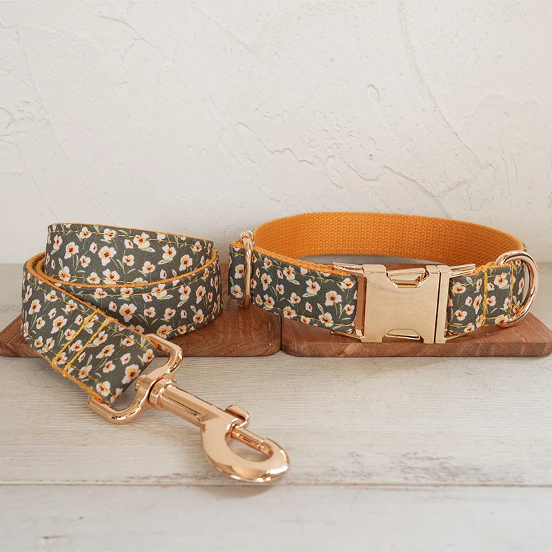 Dog Collar Leash Set