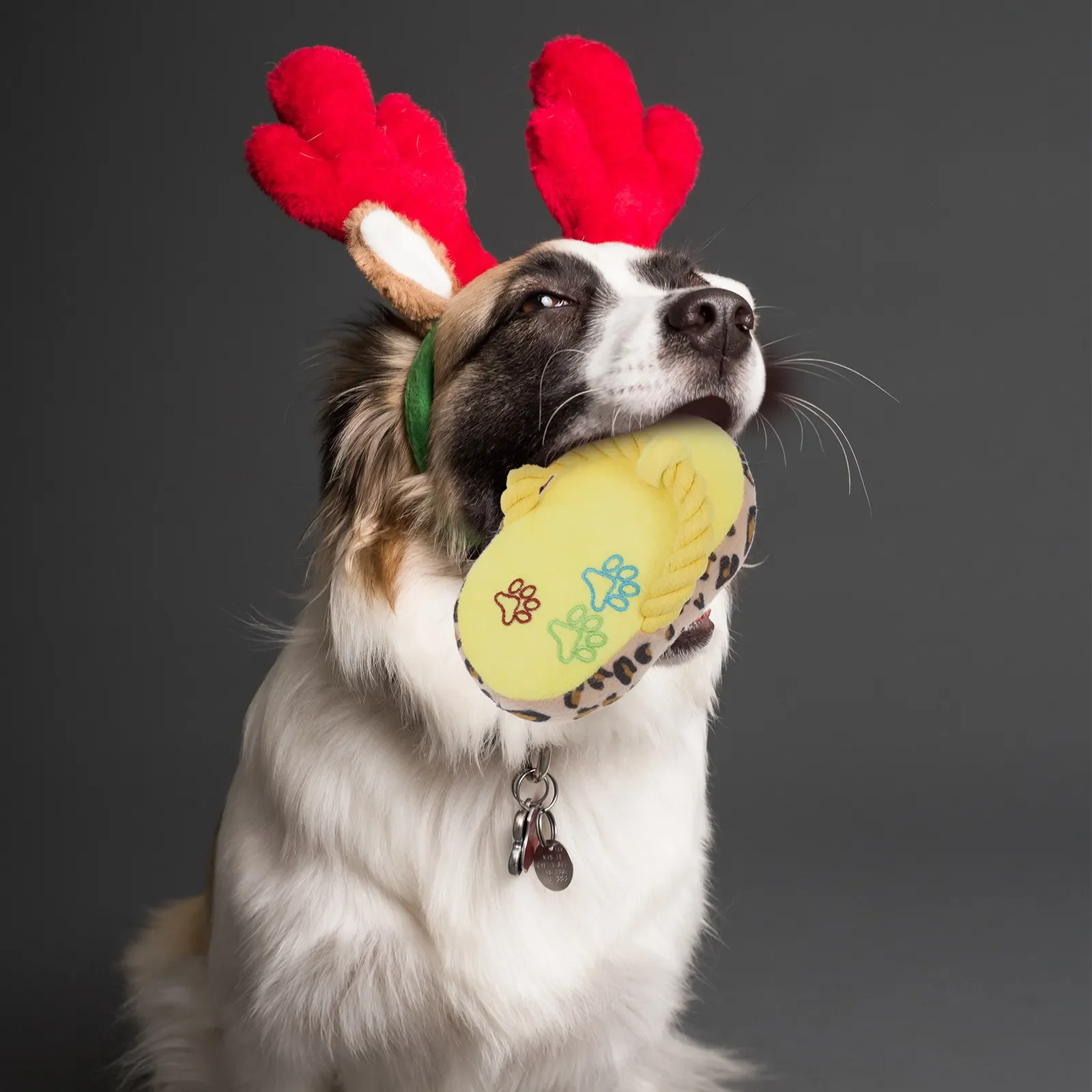Juguete masticar para perros y gatos – Alivio ansiedad y limpieza dental - imagen 3