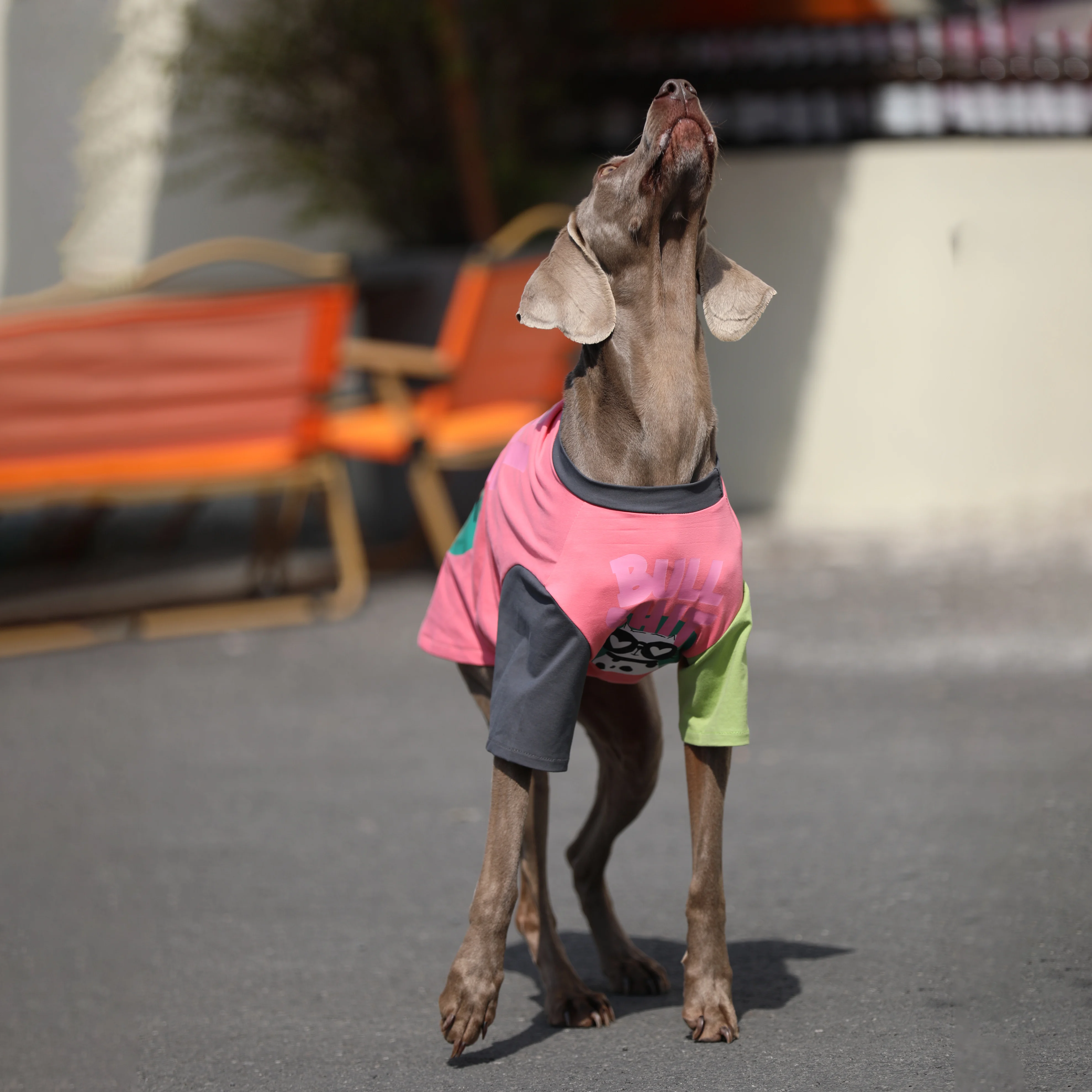 Primavera Verano Patchwork camiseta de perro grande Golden Retriever Labrador trajes moda disfraz de prevención del cabello para perros medianos y grandes - imagen 3