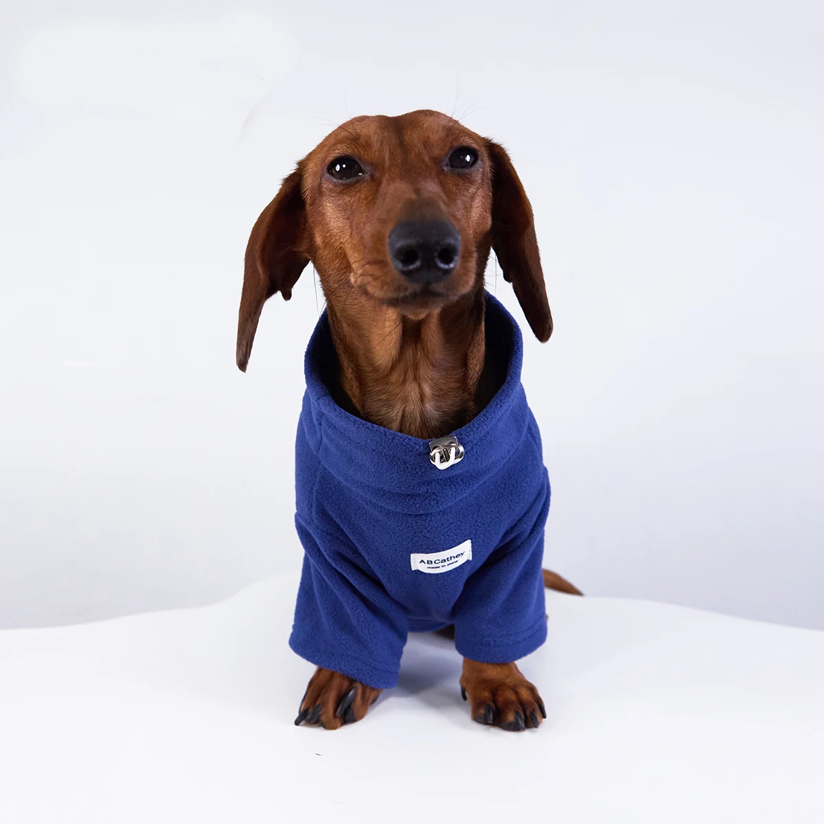 Sudadera de lana cálida de invierno para perros Wiener, ropa de moda suave y gruesa de otoño para perros salchicha, disfraz de 2 patas para perro salchicha - imagen 2