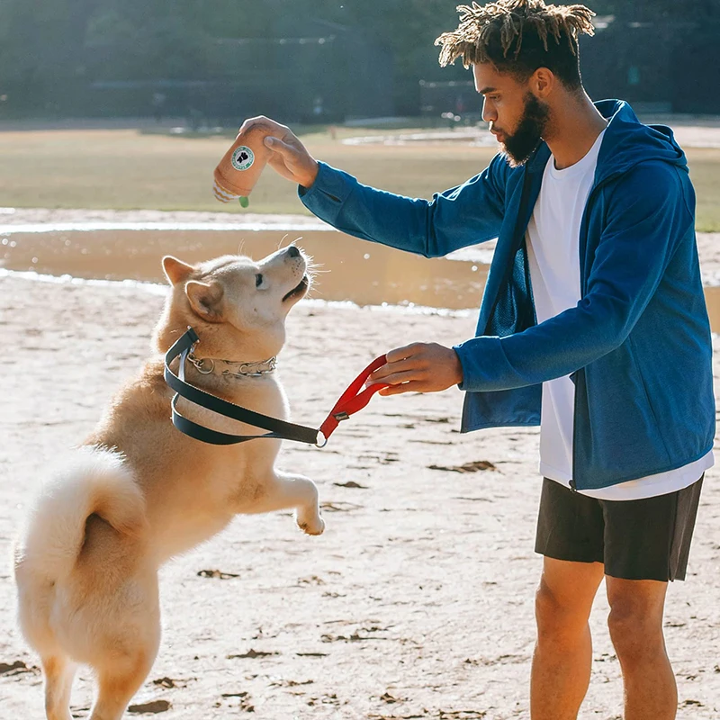 Juguete chirriante para masticar mascotas, juguete de pana de felpa para dentición, suministros de entrenamiento para perros pequeños - imagen 2