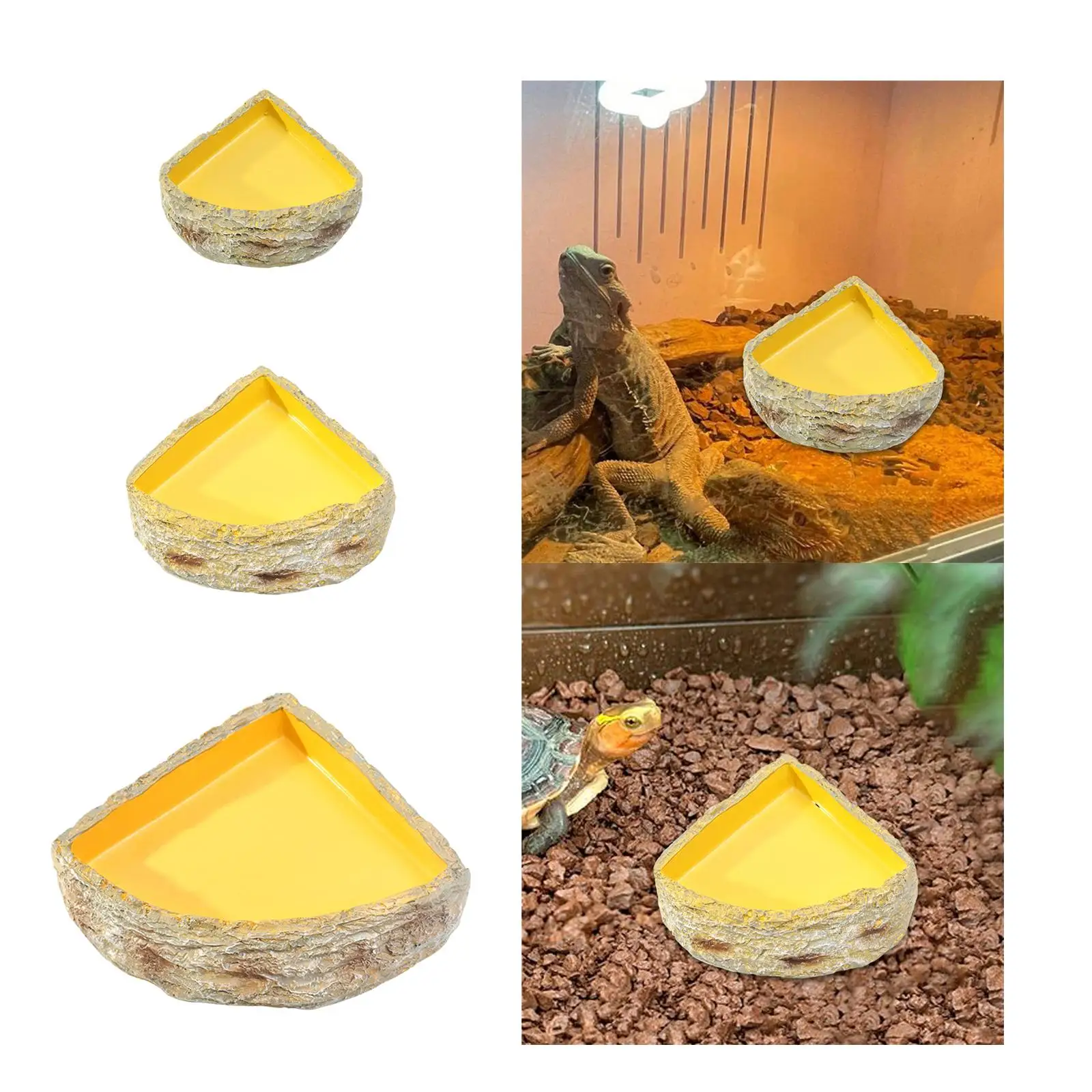 Reptile Water Dish Reptile Feeder Feeding Bowl Food Dish for Leopard Gecko Bearded Dragon