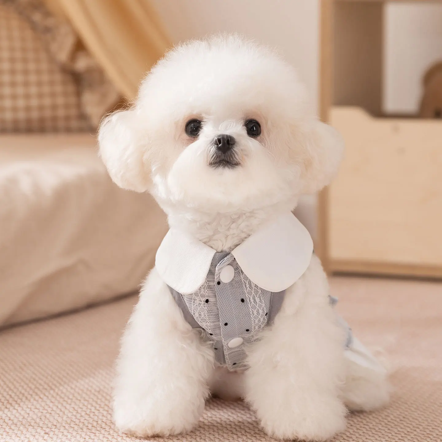 Vestido fino de lunares para otoño e invierno, abrigo de otoño e invierno con solapa para perro, ropa para perros pequeños, ropa para cachorros - imagen 2