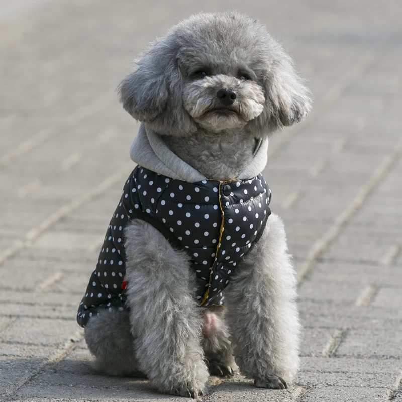 Chaqueta para perros pequeños y medianos, abrigo para gatos, Otoño Invierno, ropa gruesa de lana con estampado de cachorros, trajes de Bulldog, Chihuahua y Pug - imagen 4