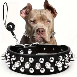 Collar con pinchos y correa de cuero para perro – Seguro y resistente