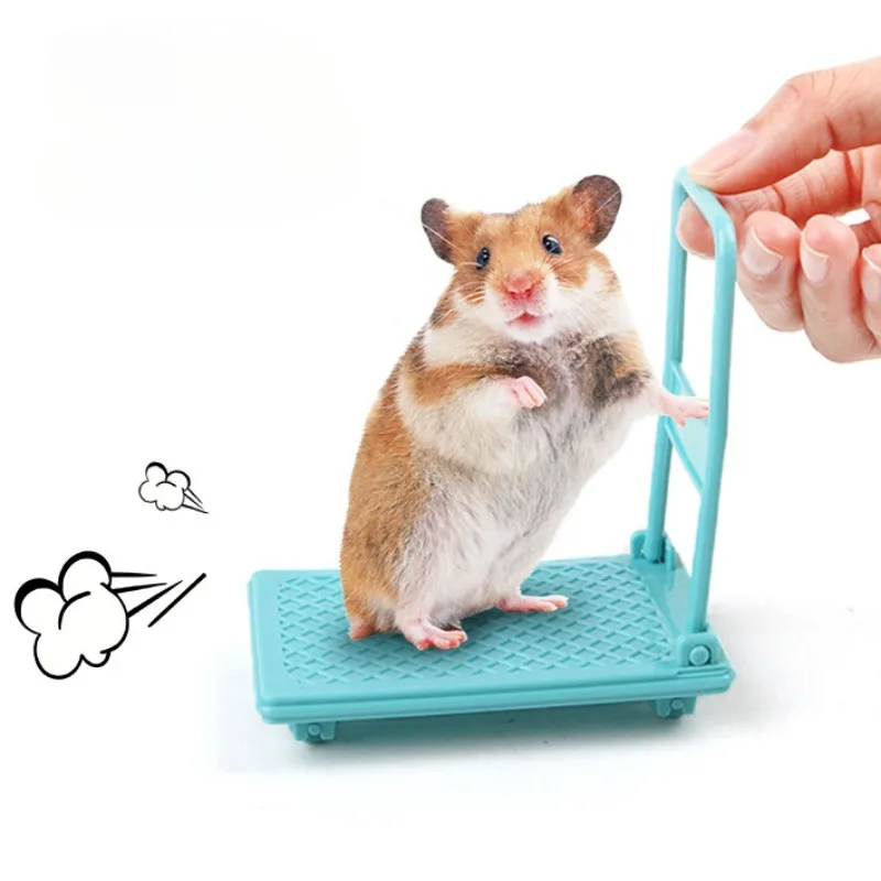 Pequeños juguetes para mascotas, loros, juguetes para hámster, Mini carritos, jaulas portátiles plegables para hámster, adornos fáciles de almacenar - imagen 3