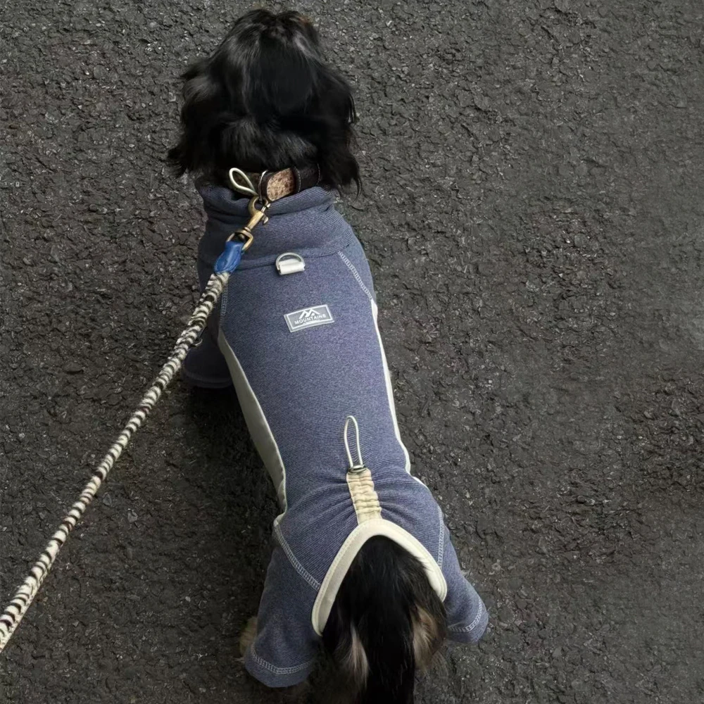 Mono suave elástico ajustable para perro salchicha – Primavera otoño - imagen 2
