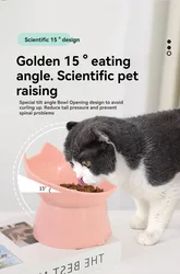 Tazón elevado antivuelco para gatos y perros – Protección cuello