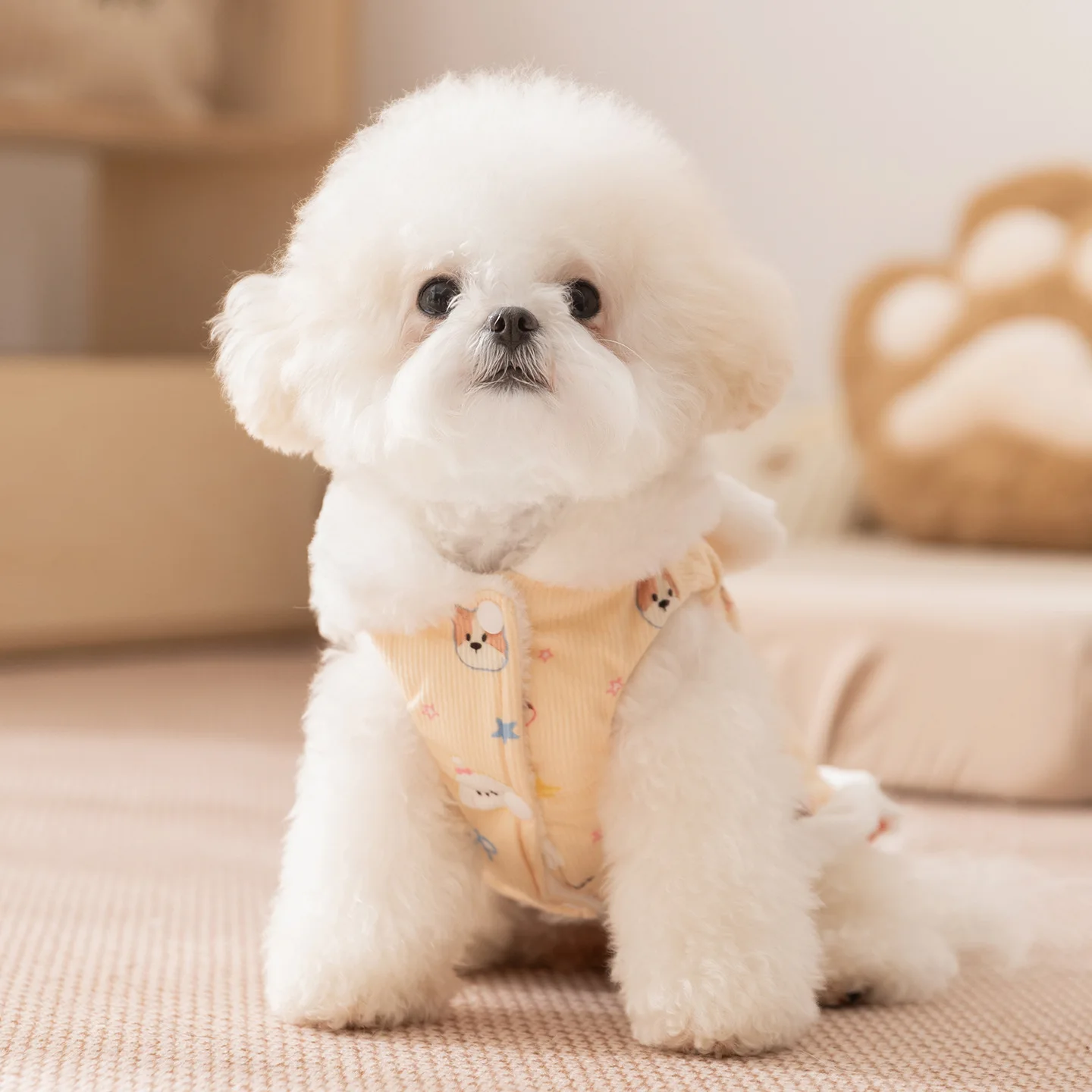 Otoño e Invierno mascota de peluche conejo oreja abrigo vestido pequeño tamaño mediano perro Teddy gato perro vestidos para perros pequeños ropa para cachorros - imagen 2