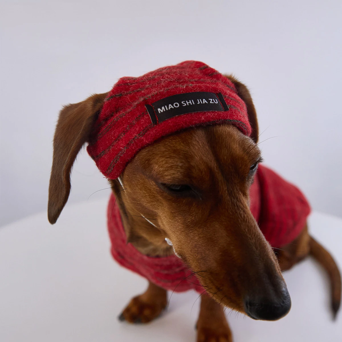 Abriguito de lana para perro salchicha – Pijama invierno con gorro - imagen 2