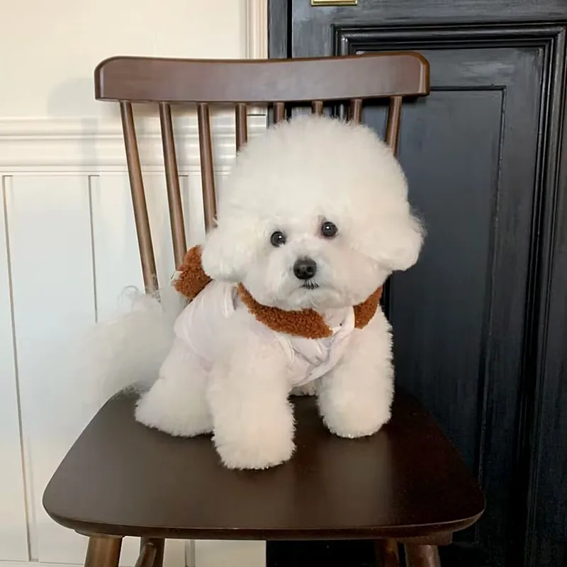 Abrigo de oso de peluche para mascotas, Otoño/Invierno, Teddy Yorkshire, camiseta sin mangas gruesa para perros pequeños y gatos, ropa para cachorros pequeños - imagen 3