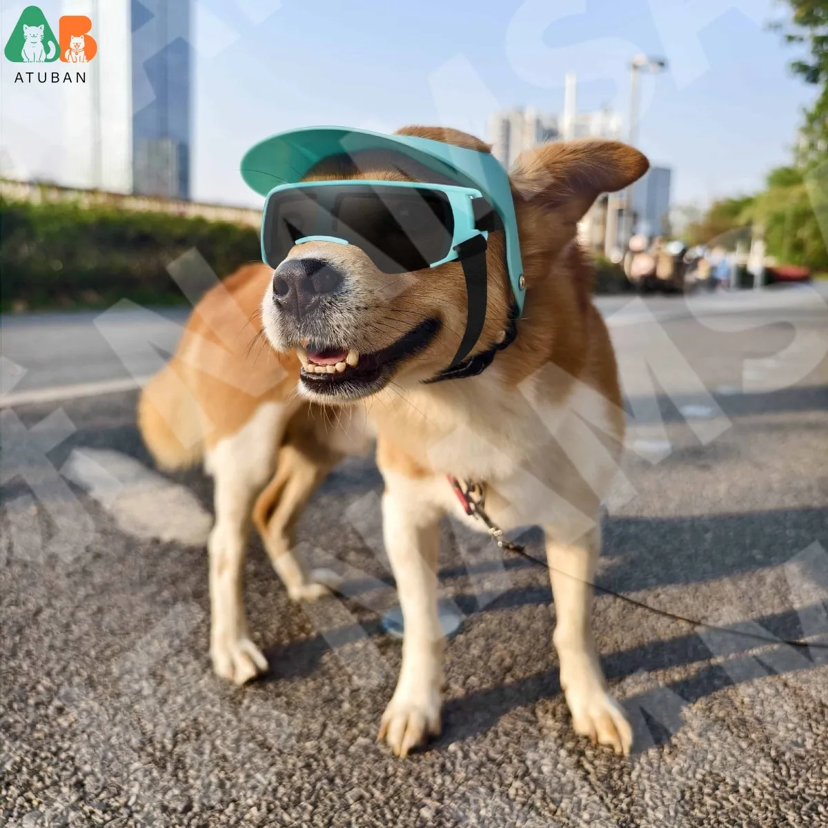 ATUBAN-Sombrero para el sol para mascotas, combinación de gafas para perros, sombrero con protección solar para primavera y verano, accesorios de ajuste de oreja - imagen 5