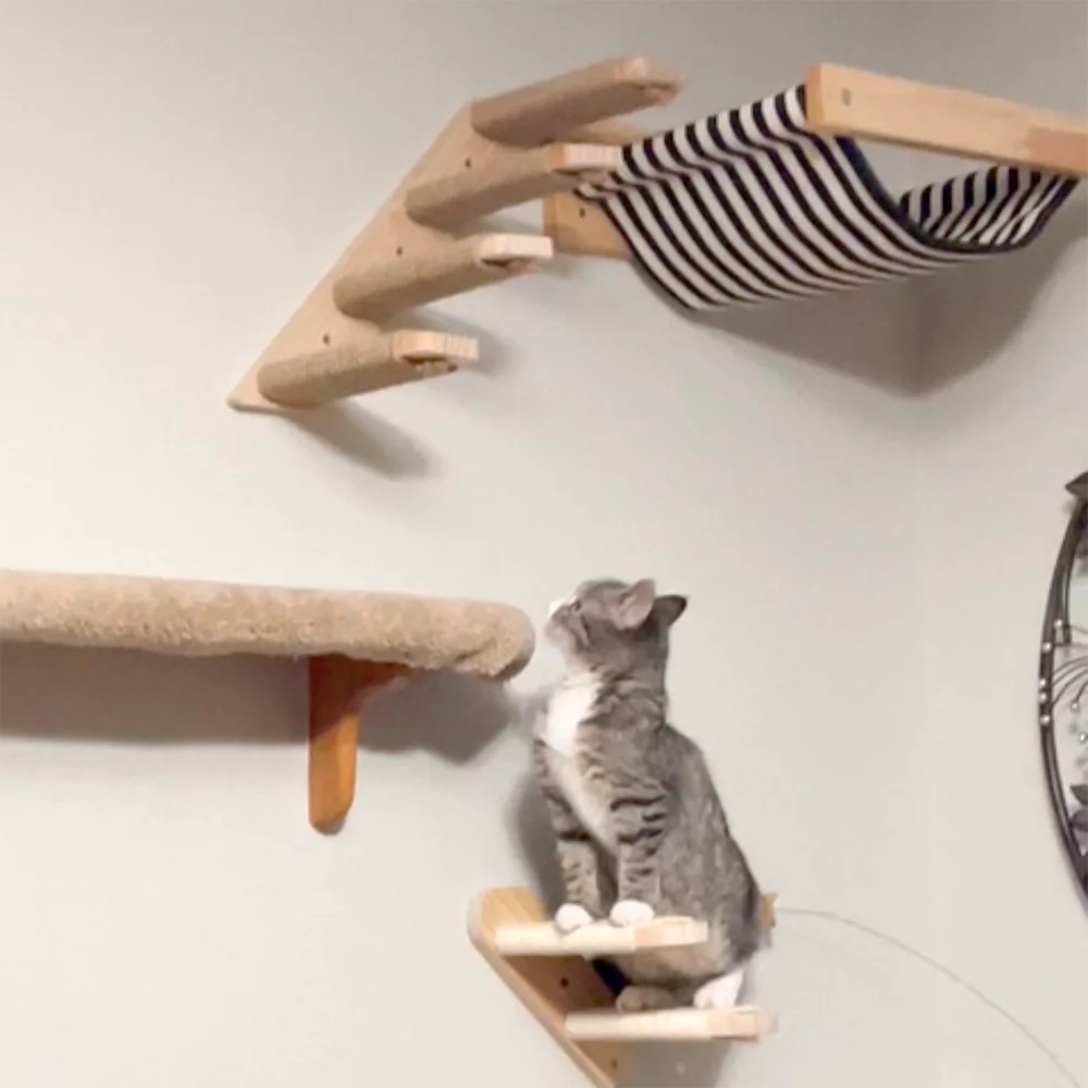 Estantes de escalada para gatos montados en la pared, hamaca para gatos con escalera y poste rascador, plataforma de madera, muebles para mascotas para jugar a gatitos - imagen 4