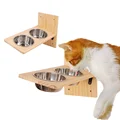 cat bowl
